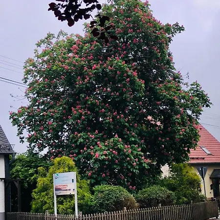 Gemuetliche Naehe Hachenburg, Bad Marienberg Appartement