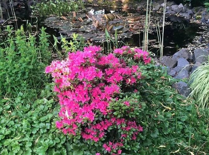 Gemuetliche Naehe Hachenburg, Bad Marienberg דירה *