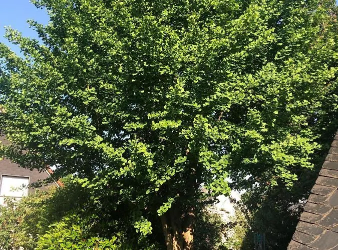 דירה Gemuetliche Naehe Hachenburg, Bad Marienberg *