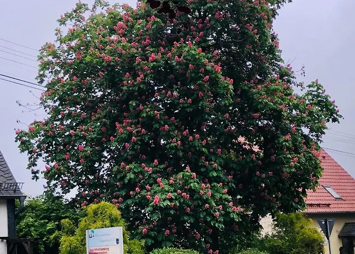 Gemuetliche Naehe Hachenburg, Bad Marienberg דירה