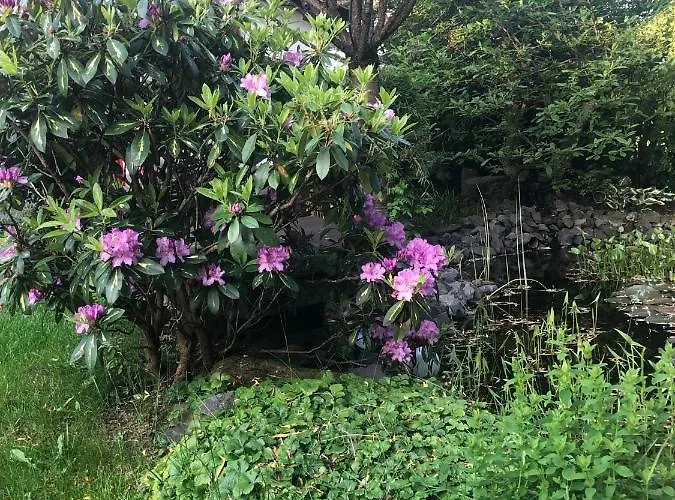 Gemuetliche Naehe Hachenburg, Bad Marienberg * Langenbach bei Kirburg